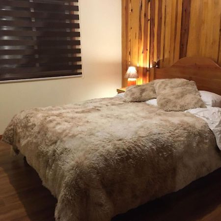 Ruka Pucon Hostel 외부 사진